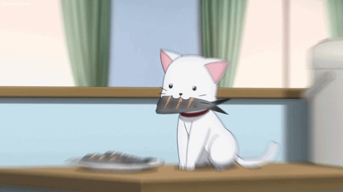 21636167210e86404822e486c7a13166.gif