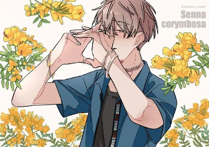 图集Pixiv P站官网 二次元动漫图精选