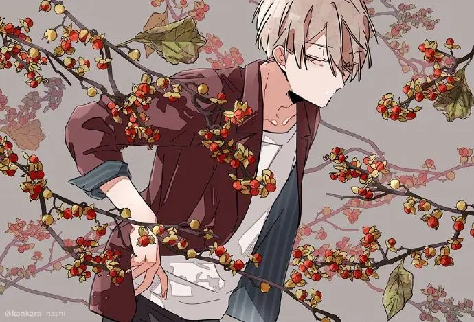 图集Pixiv P站官网 二次元动漫图精选