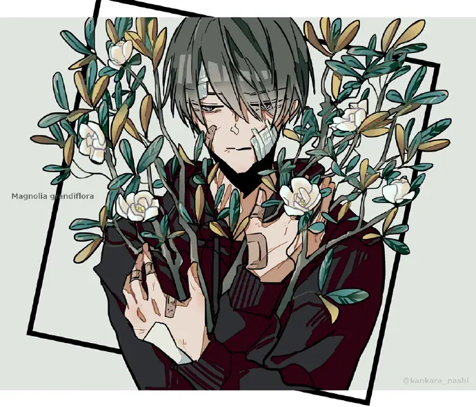图集Pixiv P站官网 二次元动漫图精选