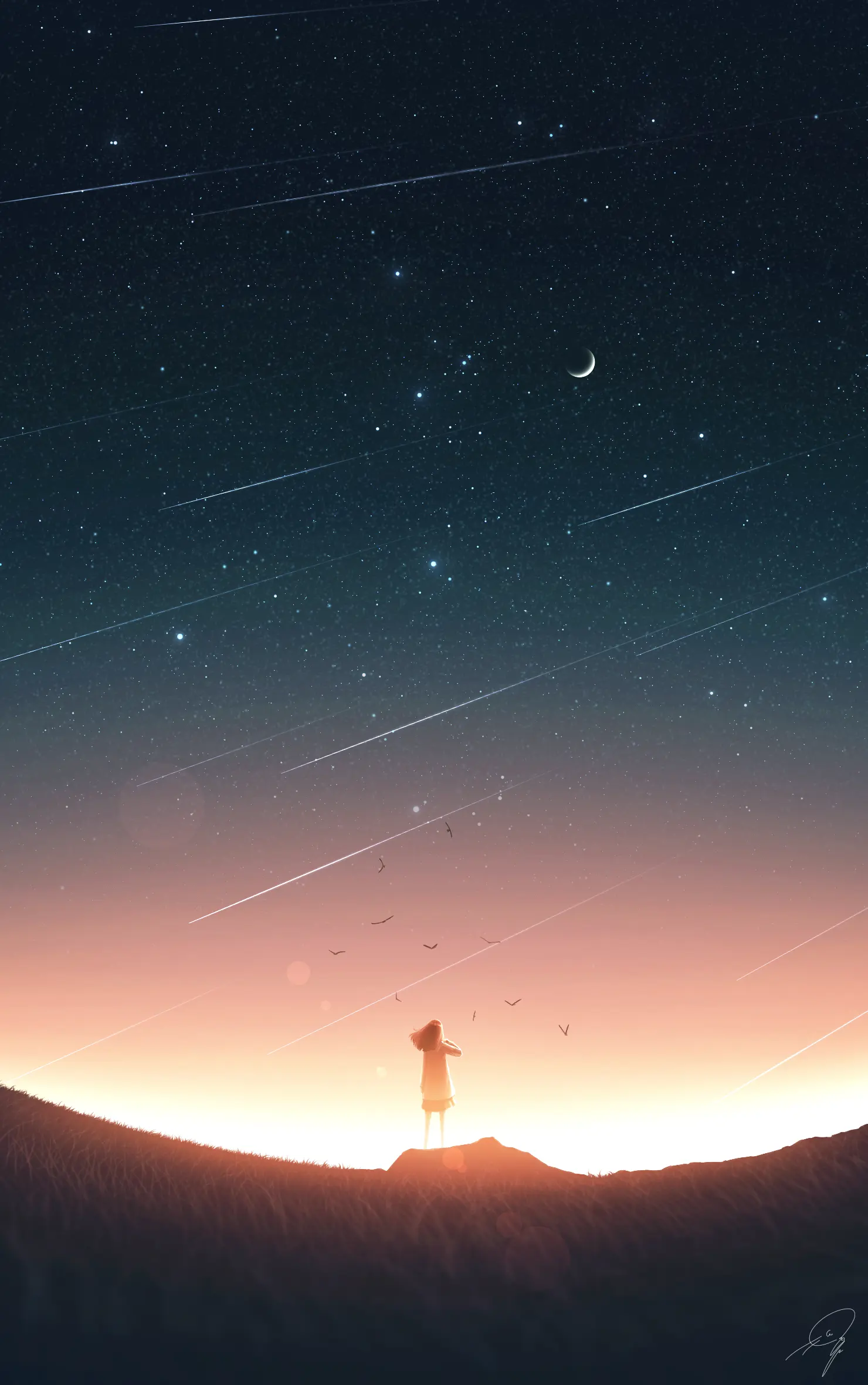 76493426_p0.png