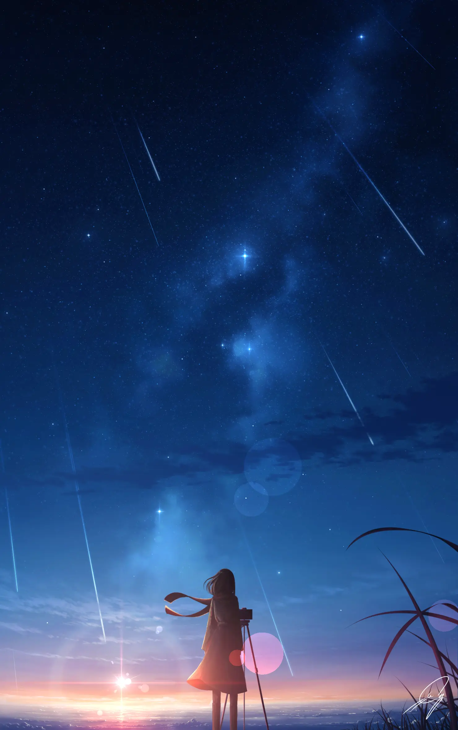 76611541_p0.png