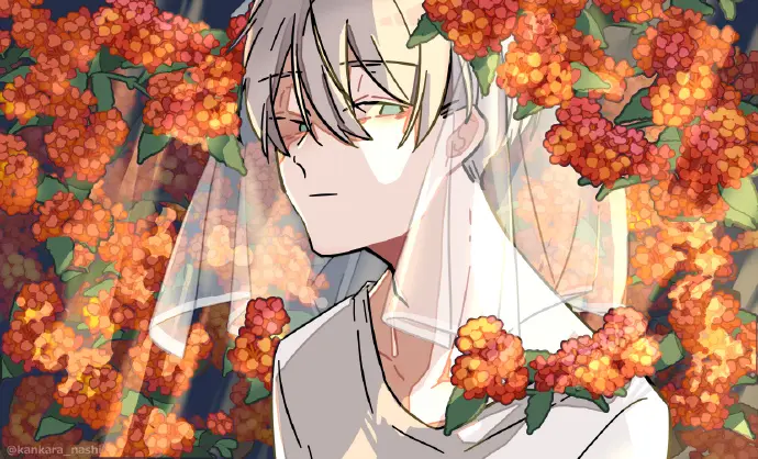 图集Pixiv P站官网 二次元动漫图精选