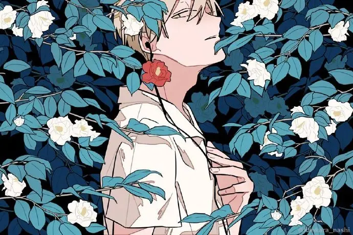 图集Pixiv P站官网 二次元动漫图精选
