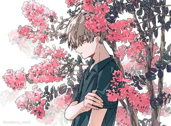 图集Pixiv P站官网 二次元动漫图精选