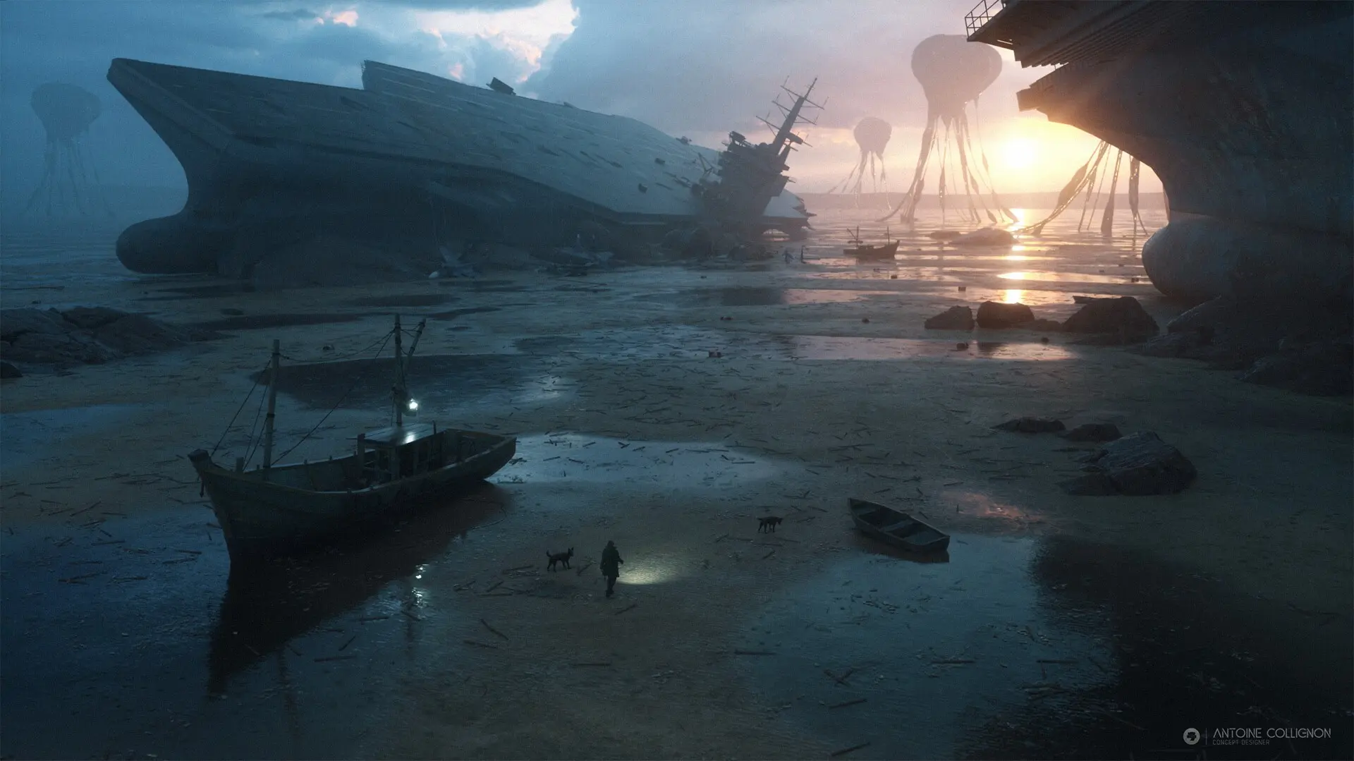 antoine-collignon-final.jpg