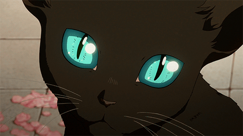 b838230fe7ae1fcdf3145aabaa5a67a8.gif