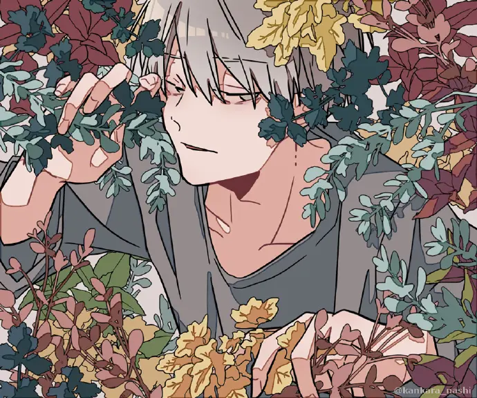 图集Pixiv P站官网 二次元动漫图精选