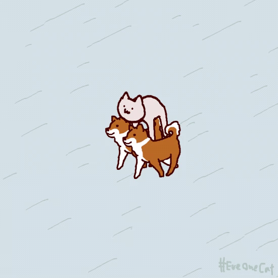 f162a0dc0918b09e65f82589a3eb03d0.gif