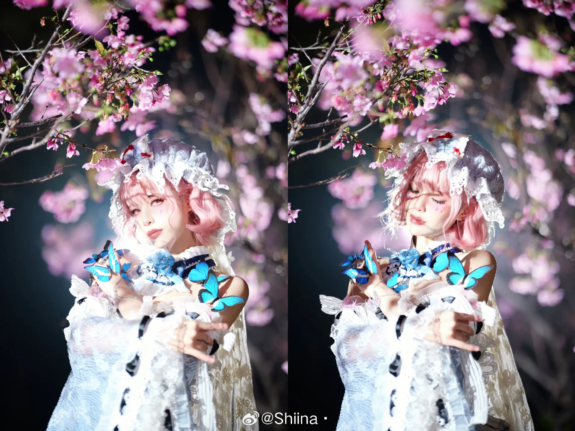 COSPLAY 东方project 西行寺幽幽子@Shiina· COSPLAY-第5张
