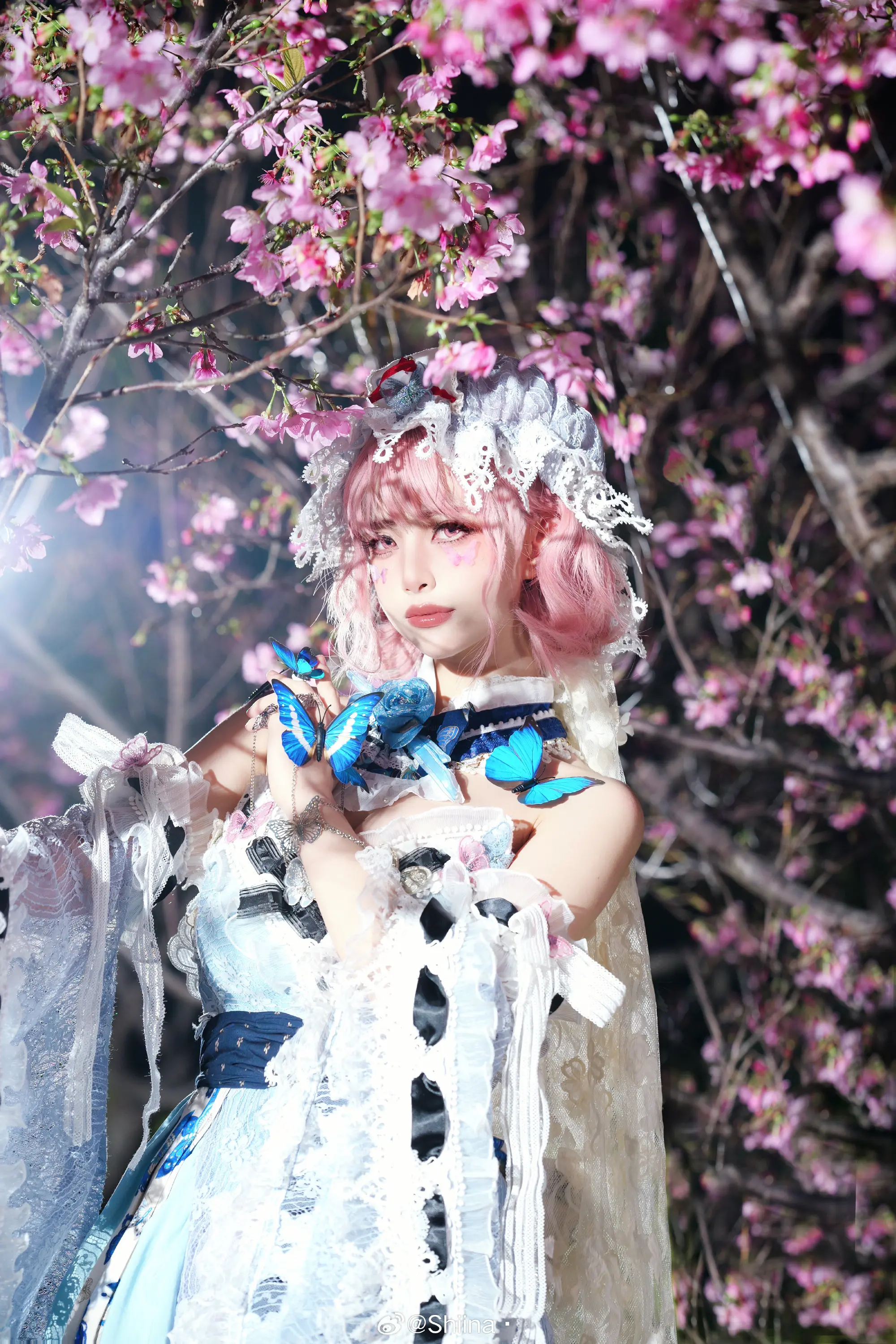 COSPLAY 东方project 西行寺幽幽子@Shiina· COSPLAY-第13张