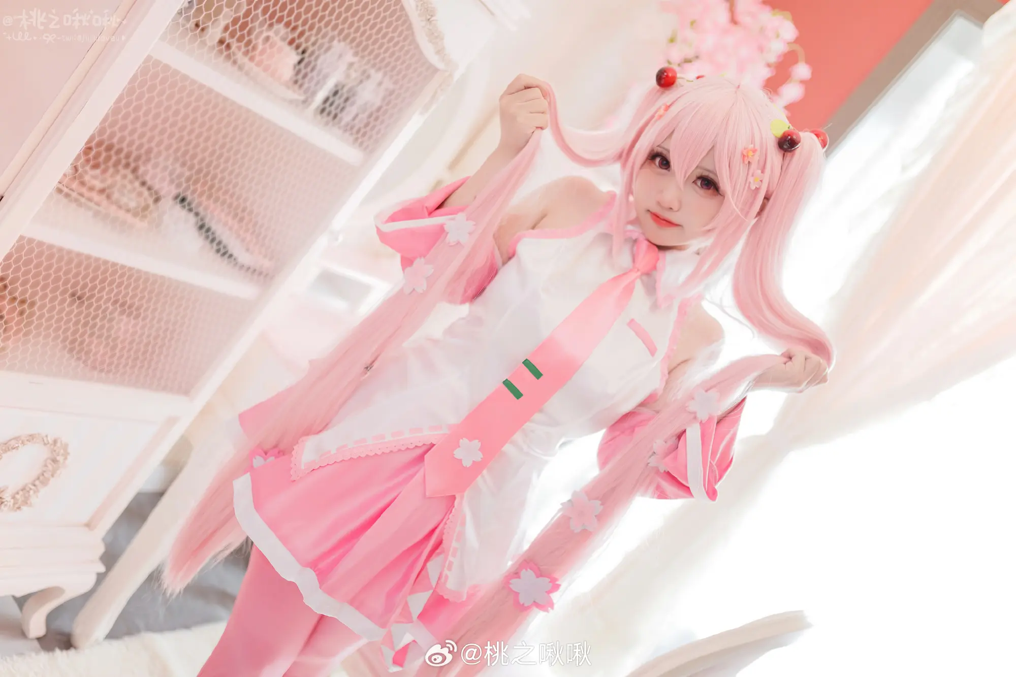 COSPLAY 🌸春日的樱色妖精🌸 樱初音!樱初音!终于发这套啦~@桃之啾啾 COSPLAY-第4张