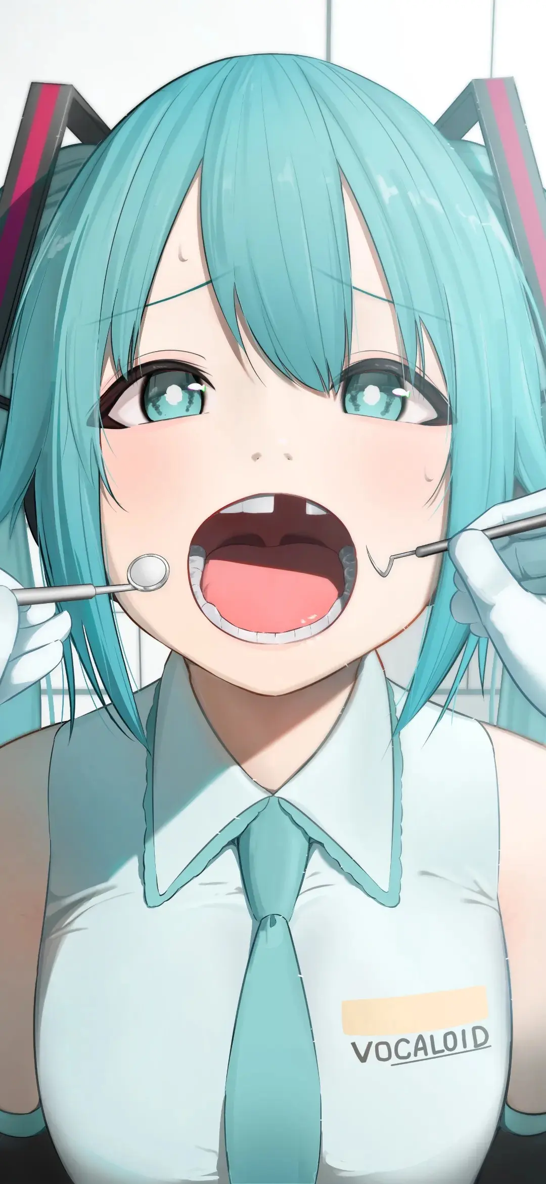 【动漫壁纸】女仆少女 雷姆 初音未来 小波其 热情过头换来的却只有冷漠 手机壁纸-第6张