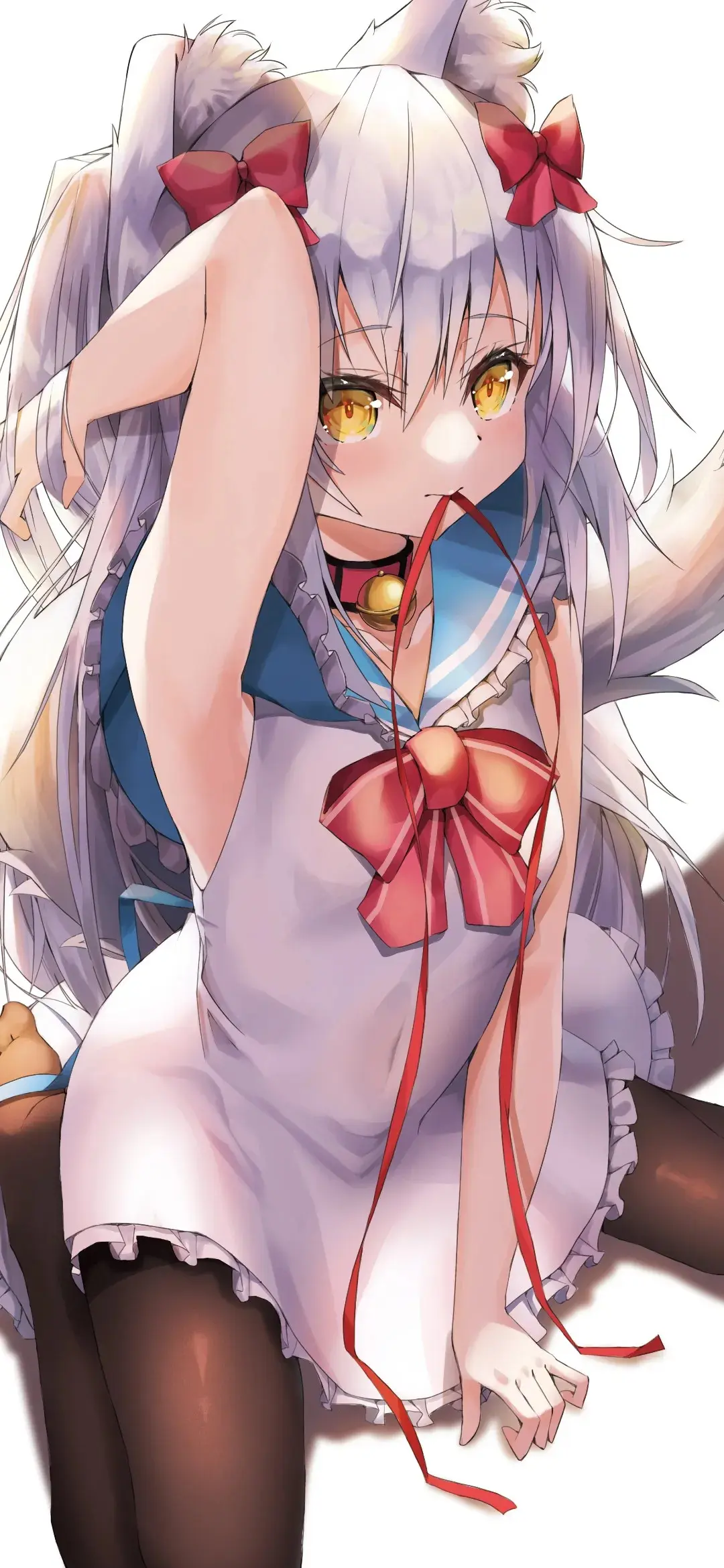 【动漫壁纸】初音未来 流萤 兽耳美少女 小波奇 今时不年少 余生缺一人终老 手机壁纸-第14张