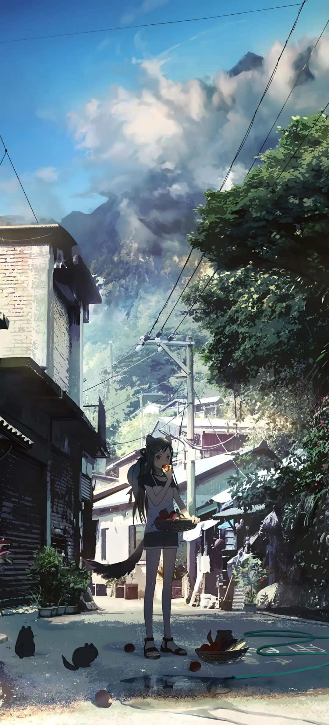 【动漫壁纸】银发美少女 崩坏星穹铁道 银狼 碧蓝档案 普拉娜 鸣潮 菲比 绝区零 伊芙琳 插画美图推荐 手机壁纸-第9张
