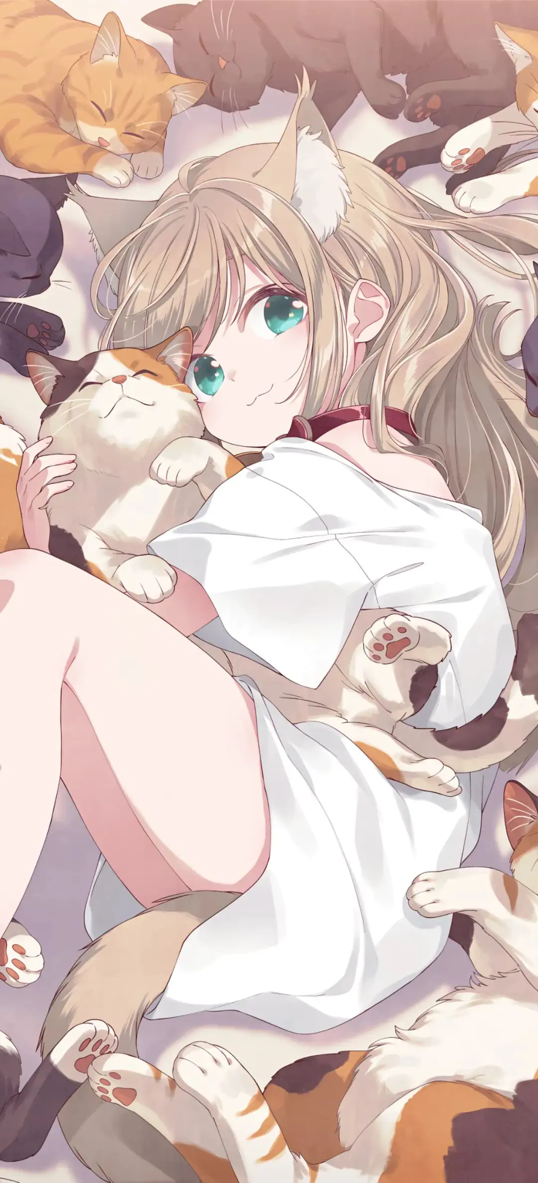 【动漫壁纸】EVA 明日香 小猫咪黄豆粉 初音未来 蔚蓝档案 原神 小胡桃 插画美图推荐-公众号小姨ai