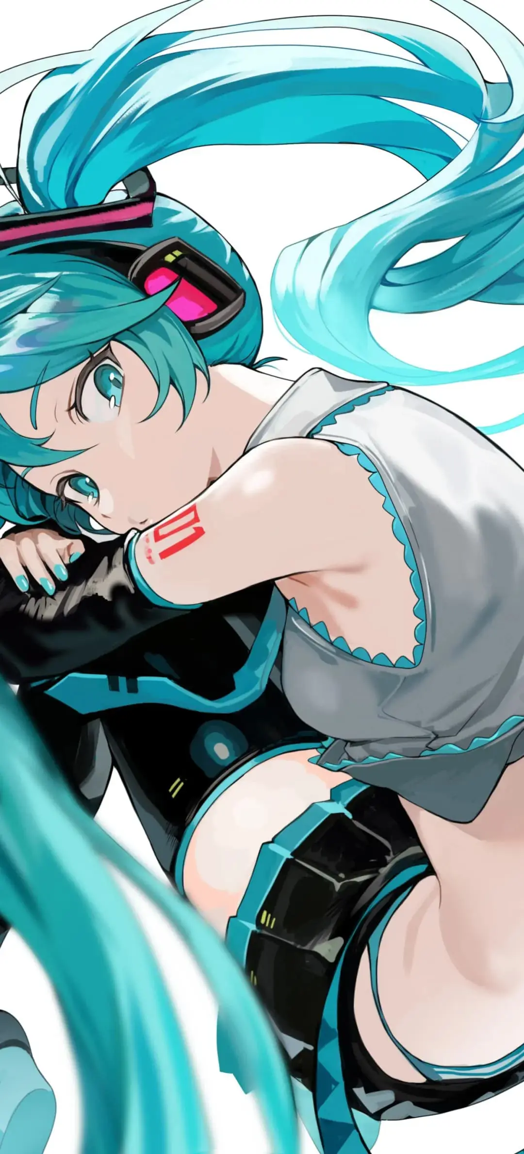 动漫壁纸 鸣潮 椿 双马尾初音未来 绝区零 星见雅 星穹铁道 遐蝶 插画美图推荐 手机壁纸-第5张