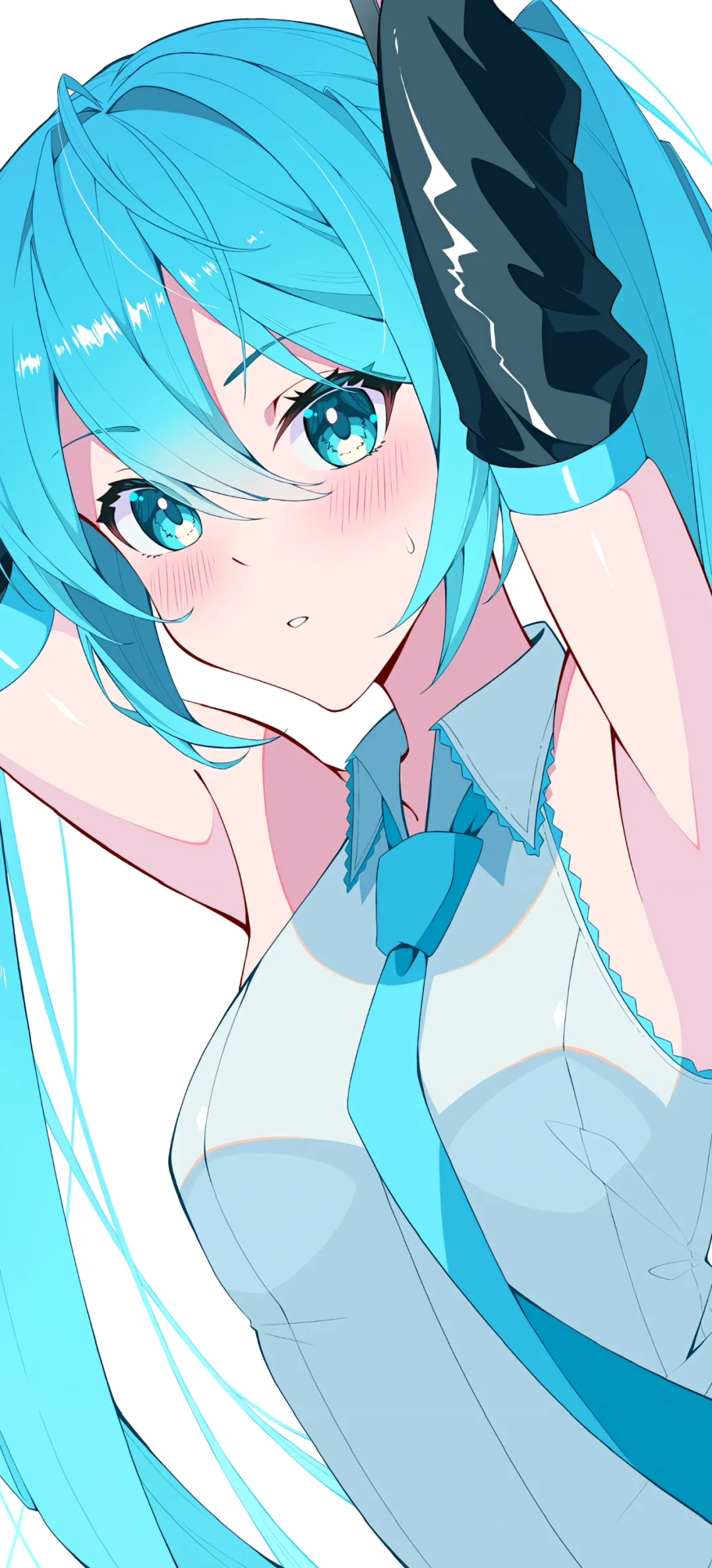 【手机壁纸】蔚蓝档案 飞鸟马时 初音未来 兽耳女仆美少女 2B小姐姐 绝区零 薇薇安 动漫壁纸推荐 壁纸-第5张