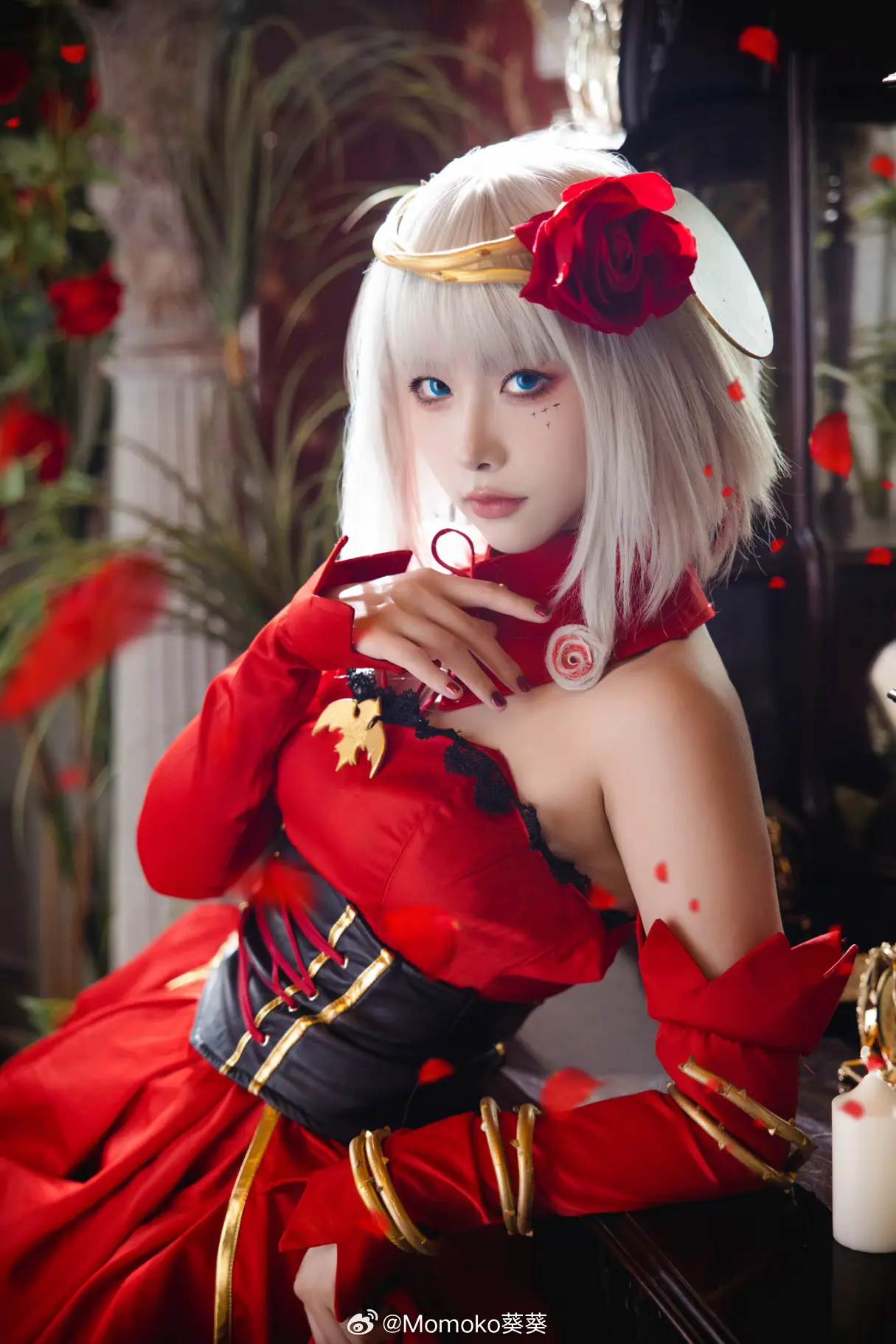 DESTINY. 宿命回响@Momoko葵葵-公众号小姨ai