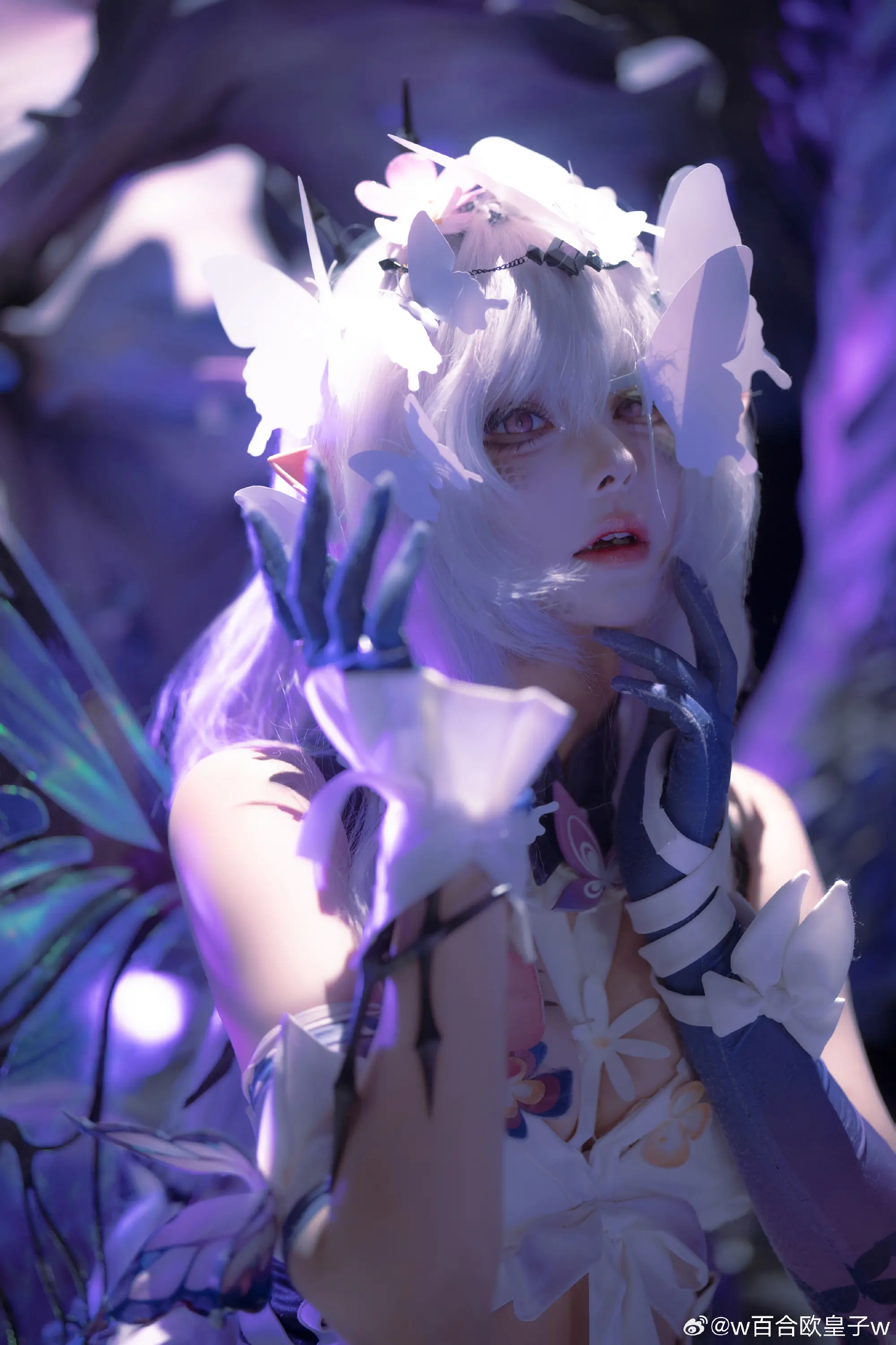 COSPLAY 生死皆为旅途，当蝴蝶停落枝头，那凋零的又将新生。 星穹铁道 遐蝶@w百合欧皇子w-公众号小姨ai