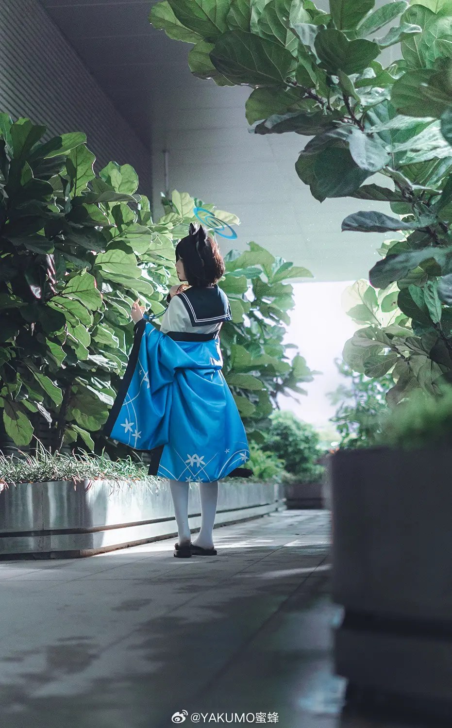 COSPLAY 百鬼夜行連合学院所属、百花繚乱の作戦参謀、桐生キキョウ。@YAKUMO蜜蜂 COSPLAY-第9张