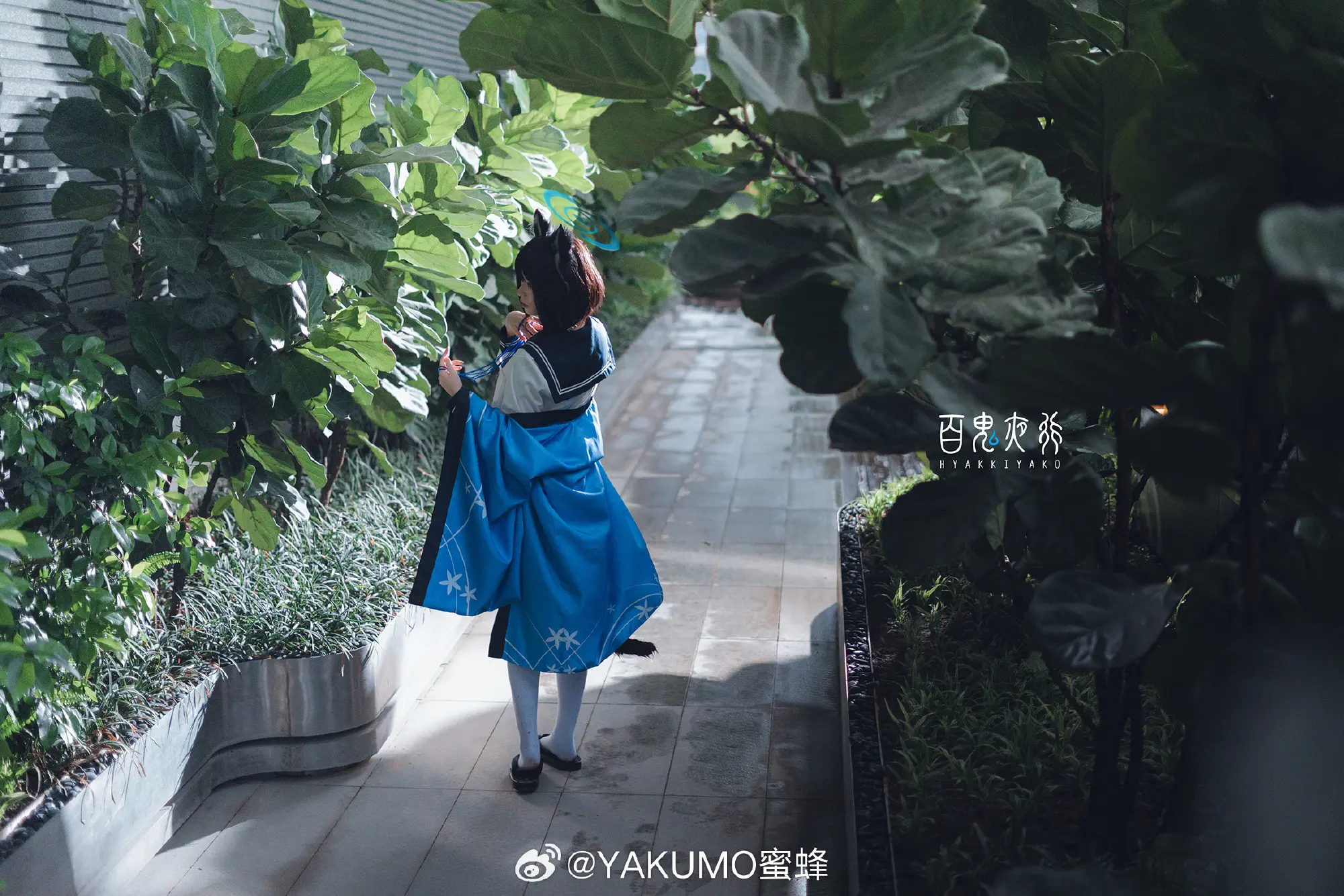 COSPLAY 百鬼夜行連合学院所属、百花繚乱の作戦参謀、桐生キキョウ。@YAKUMO蜜蜂 COSPLAY-第2张