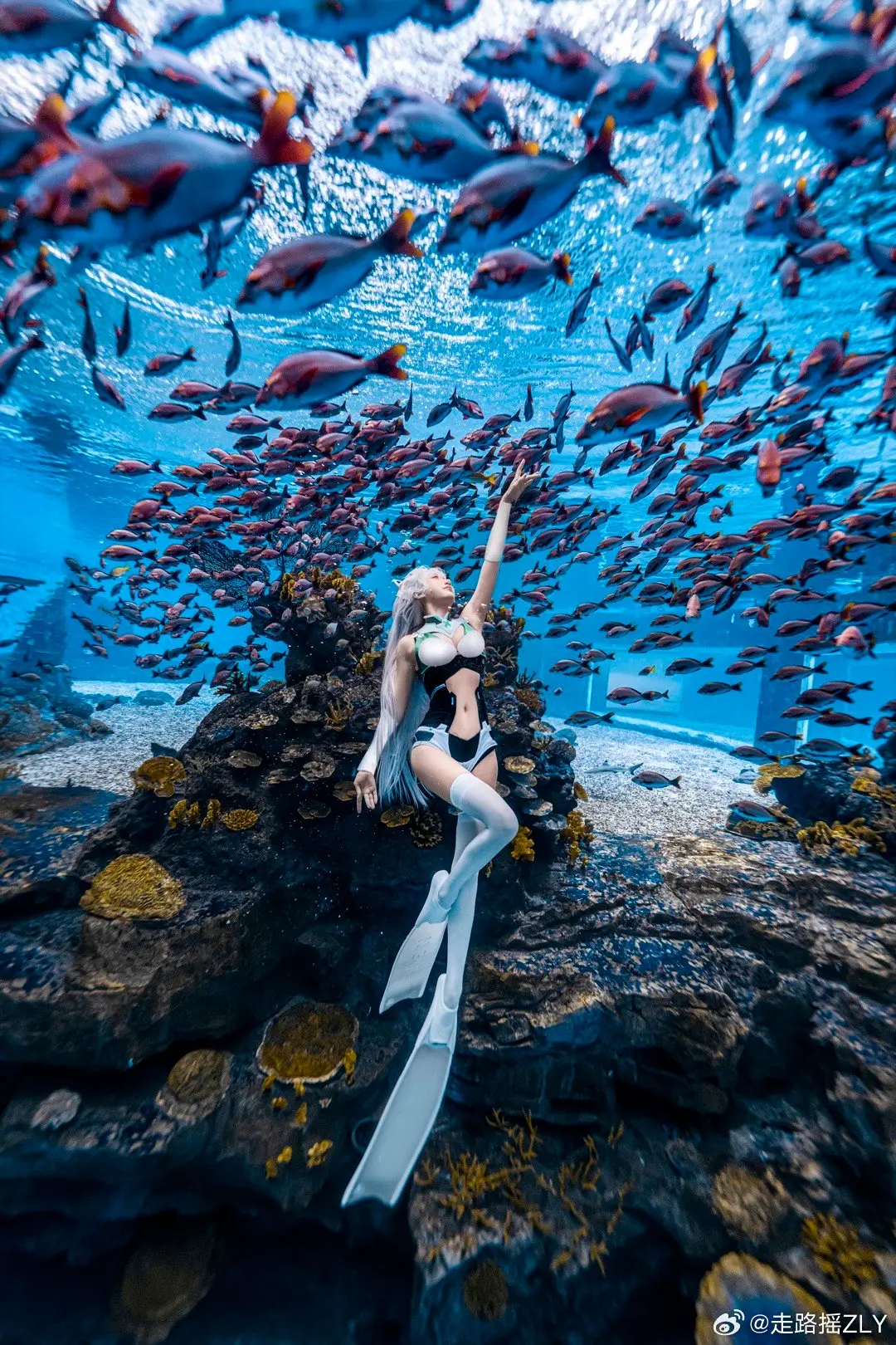 提问，把我的天选机扔进海里就可以获得泳装姬姬吗？@走路摇ZLY COSPLAY-第5张