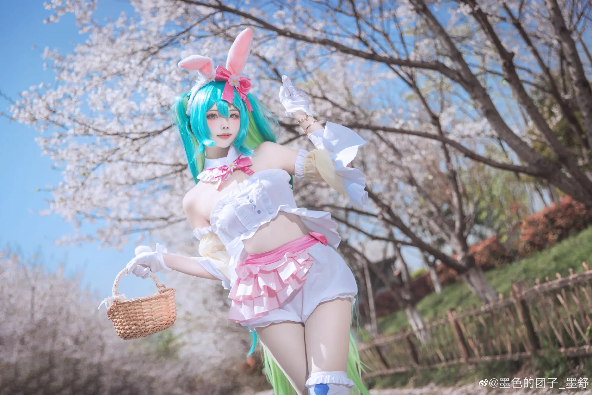春よ、来い 初音未来🌸@墨色的团子_墨舒-公众号小姨ai