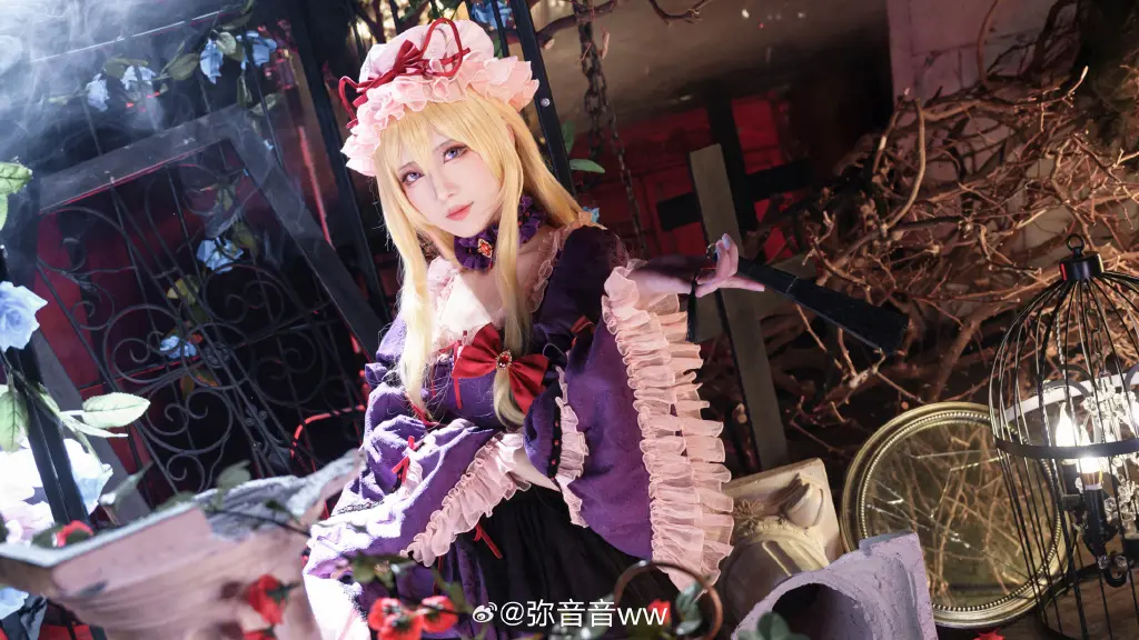 cosplay 幻想の境界 东方project 八云紫@弥音音ww COSPLAY-第11张