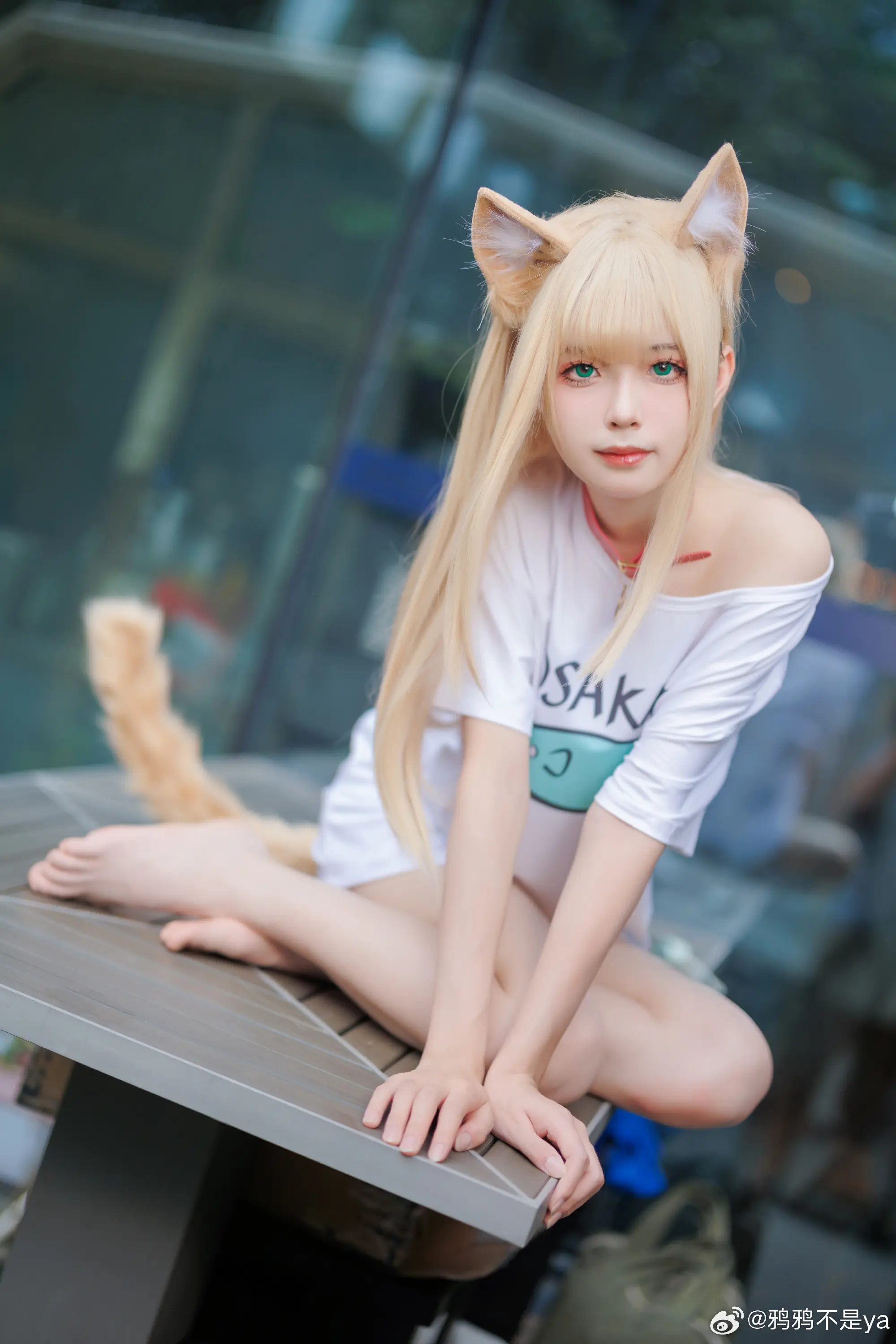猫娘 黄豆粉@鸦鸦不是ya-公众号小姨ai