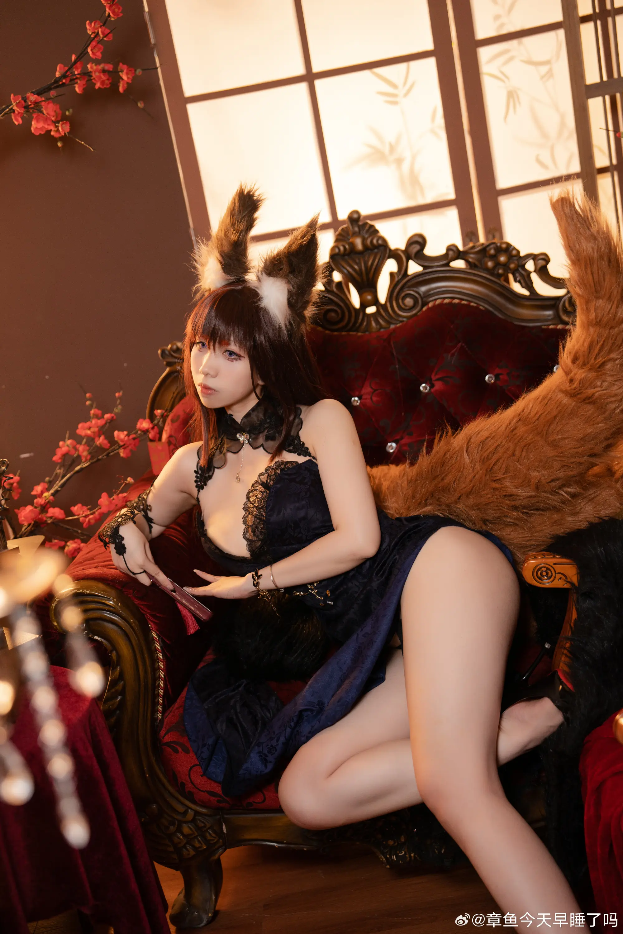 动漫Coser@章鱼今天早睡了吗 碧蓝航线-公众号小姨ai